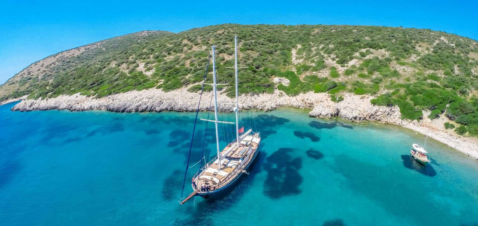 blue cruise